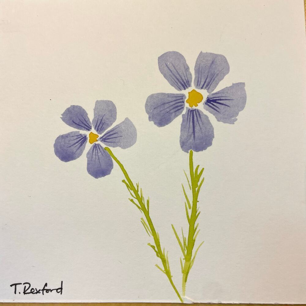 Hand painted watercolor original painting purple blue flower